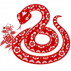 Year of the Snake 4