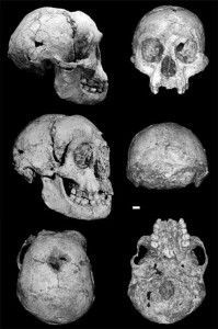 O specie umană a existat înainte de Homo Sapiens: Hobiții - II 3