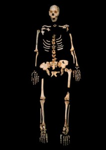 O specie umana a existat inainte de Homo Sapiens: Hobitii - I