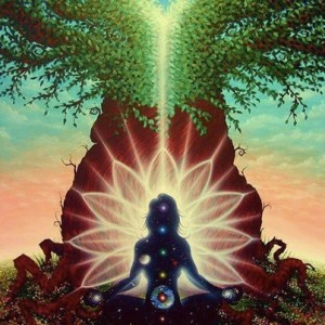 Conexiunea cu divinitatea se face prin chakra superioara a fruntii - Sahasrara 5