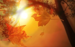 Astazi la ora 11:20  a avut loc echinoctiul de toamna - cum ne afecteaza schimbarile climaterice din punct de vedere fizic, dar si spiritual? 2