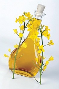 Canola - uleiul de rapita cu 1000 de virtuti 3