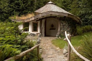 Casele ecologice reprezinta viitorul habitat pentru omul modern 2