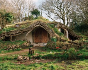 Casele ecologice reprezinta viitorul habitat pentru omul modern 3