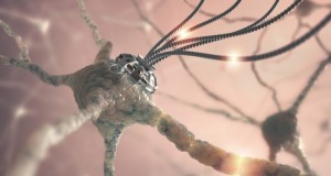 Ce este darpa si care sunt efectele experimentelor lor asupra populatiei 4