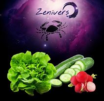 Dieta astrologica a zodiei Rac 2