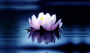 Spiritualitatea intareste sistemul imunitar 2
