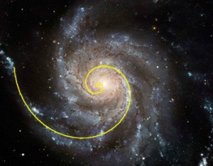 Structura numerologica a corpului uman - II 2
