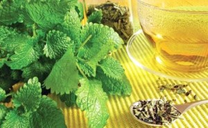 Tinerete fara batranete - remedii naturale impotriva stresului si a afectiunilor cauzate de acesta 2
