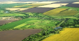 Astazi practicam agricultura in laborator, in loc sa lasam natura sa isi urmeze cursul 2
