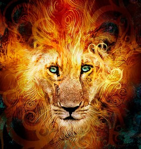 Culorile zodiilor - lupta dintre zodie si Ascendent poate fi domolita optand pentru combinatia perfecta a culorilor 3