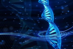 Cum putem atinge ascensiunea spirituala prin intermediul ADN-ului 2