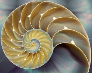 Exoplanetele si semnificatiile Numarului de Aur 3