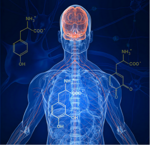 Ce rol au mineralele si metalele prezente in corpul uman? 2