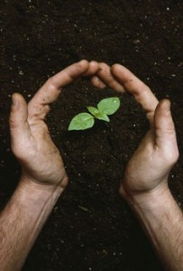 Evolutia tehnologiei si stilul de viata din comunitatile ecologie si cele spirituale 3