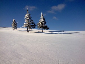 ce inseamna cand visezi ca ninge 3