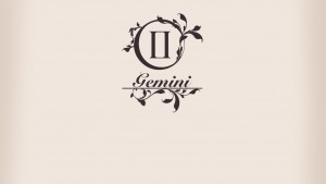 Horoscopul anului Gemeni 2016 3