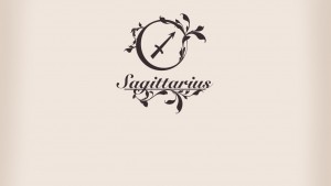 Horoscopul anului Sagetator 2016 3
