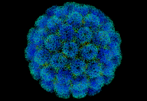 Influenta virusilor si a armelor bacteriologice asupra societatii in care traim - II 2