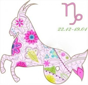 Horoscop saptamanal Capricorn 27 februarie - 5 martie 2016 2