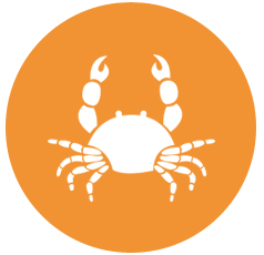 Horoscop zilnic Rac 13 aprilie 2016 2