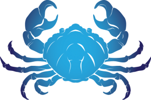 Horoscop zilnic Rac 24 aprilie 2016 2