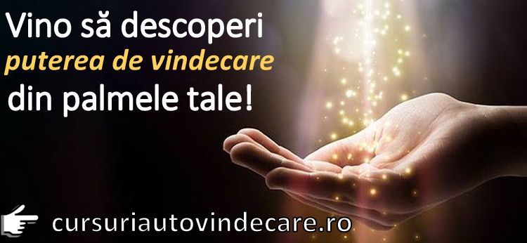 bannerautovindecare.ro 4